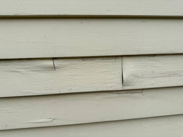  Weston, WI Siding Installation & Repair Pros